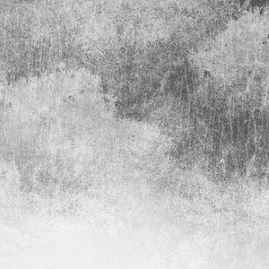 欧美大bbbxxx视频
