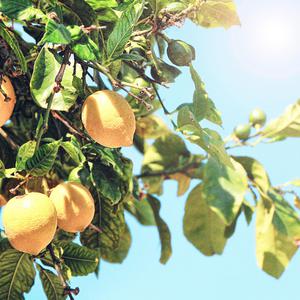 欧美大bbbxxx视频
